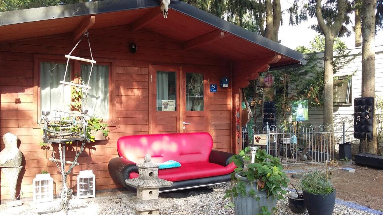 Chalet Op Een Rustig Park In De Natuur Putten Εξωτερικό φωτογραφία