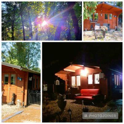 Chalet Op Een Rustig Park In De Natuur Putten Εξωτερικό φωτογραφία