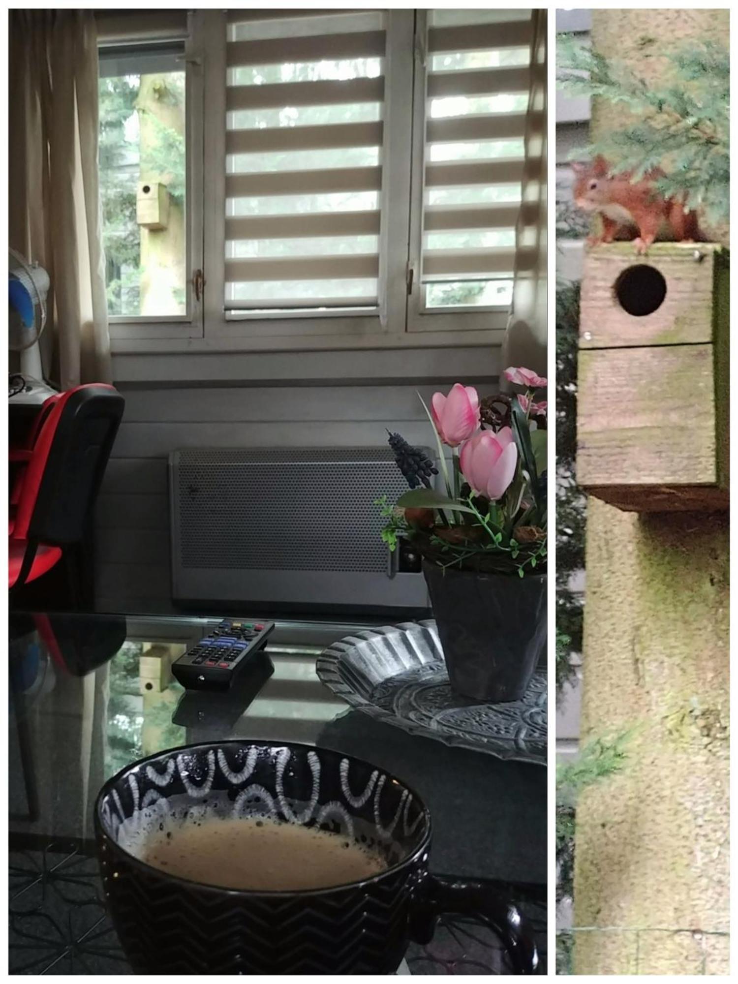 Chalet Op Een Rustig Park In De Natuur Putten Εξωτερικό φωτογραφία
