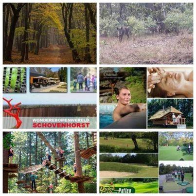Chalet Op Een Rustig Park In De Natuur Putten Εξωτερικό φωτογραφία